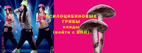 крисы Касимов