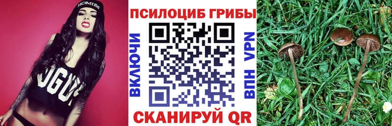 Псилоцибиновые грибы мухоморы  Купить где  Саки 