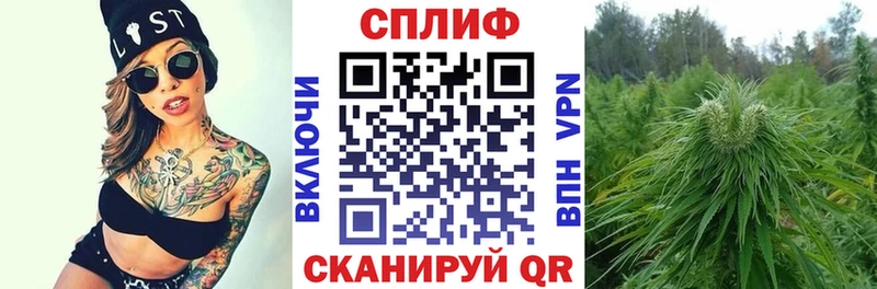 Купить  Саки  Канабис семена 